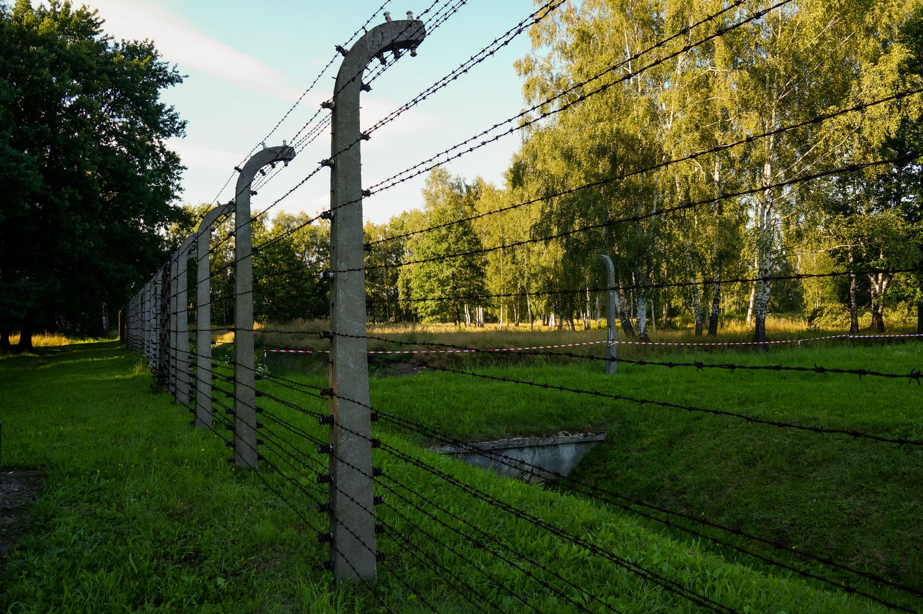 A solemn view of a barbed wire fence in Oswiecim, Poland, with lush greenery surrounding it.