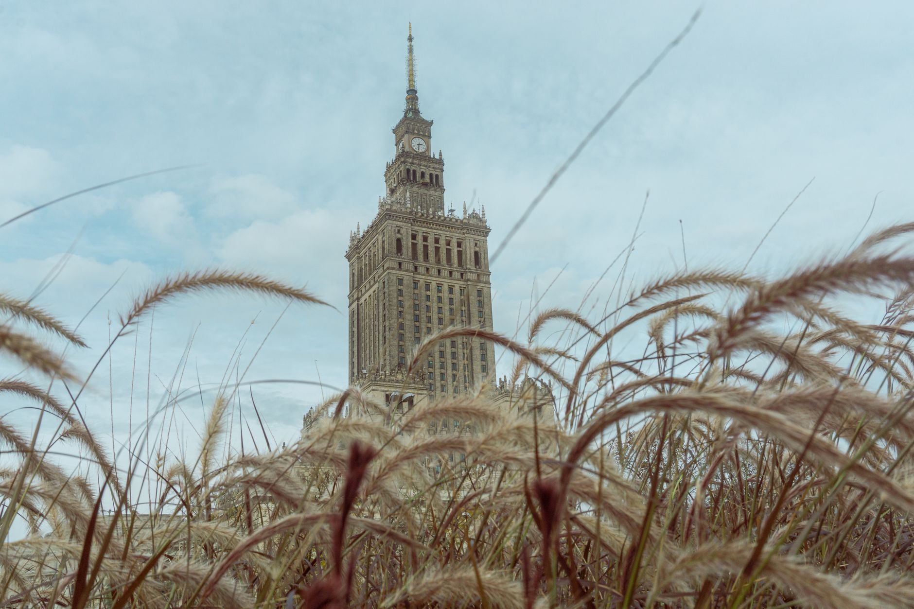 Low-angle view of the Palace of Culture and Science in Warsaw, framed by tall grass under a cloudy sky.